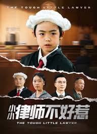 律师不好惹封面图