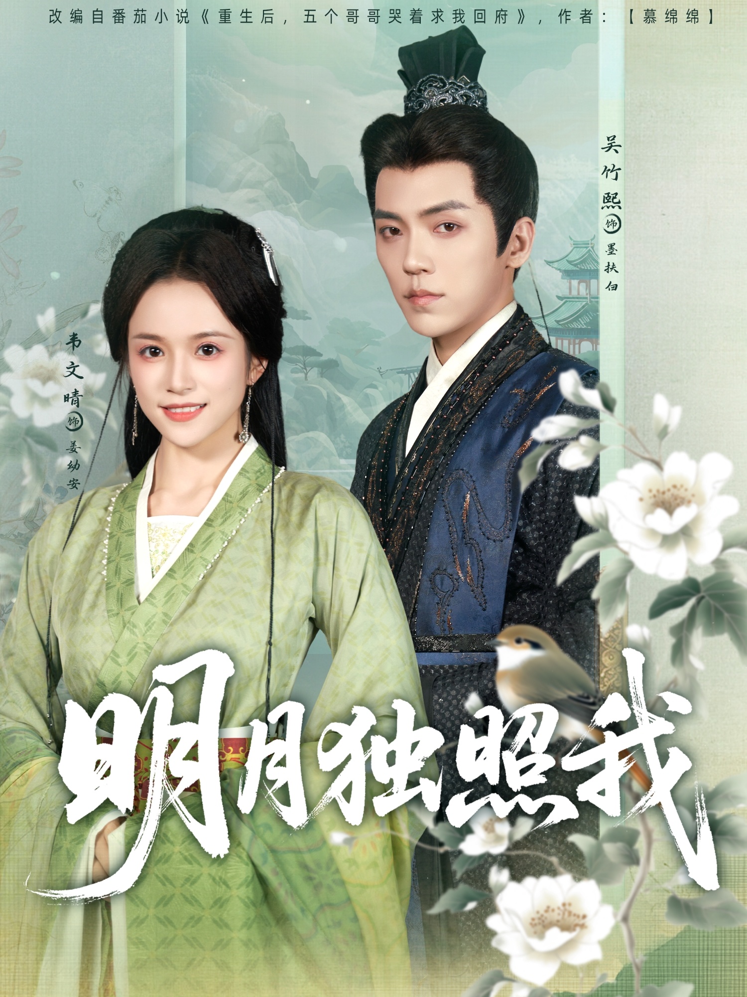 明月独照我封面图