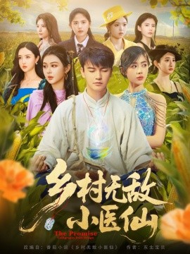 乡村无敌小医仙封面图