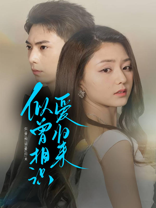 似曾相识爱归来封面图