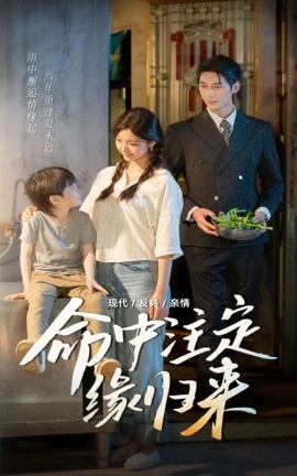 命中注定缘归来封面图