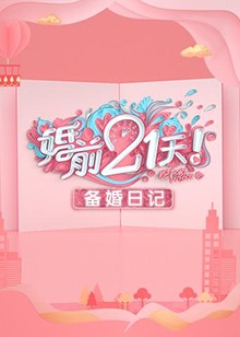 婚前21天 备婚日记封面图