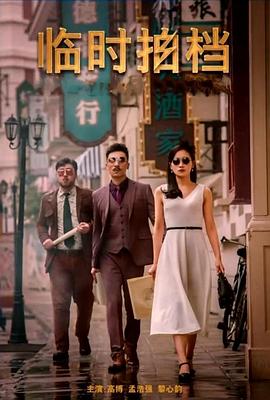 临时拍档封面图