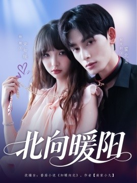 北向暖阳封面图