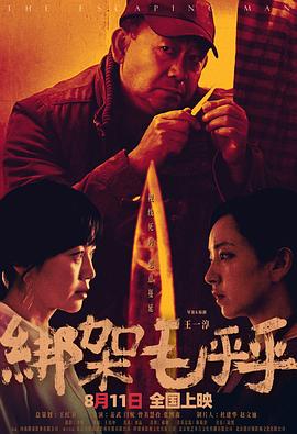 绑架毛乎乎封面图