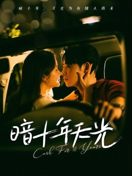 暗十年天光封面图