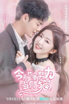 今天也要努力当只猫封面图