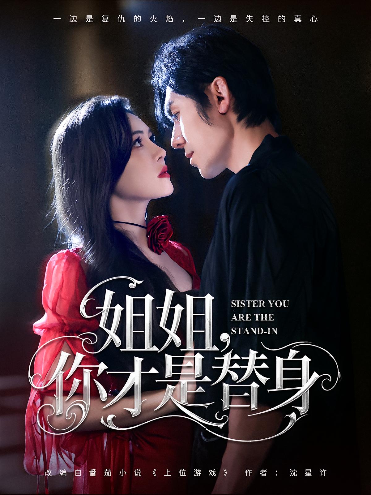 姐姐你才是替身封面图