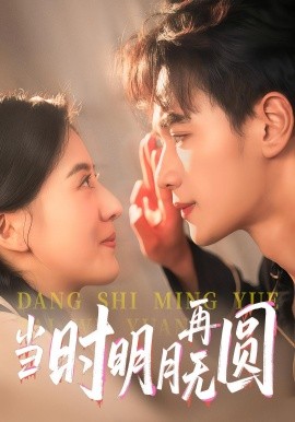 当时明月再无圆封面图