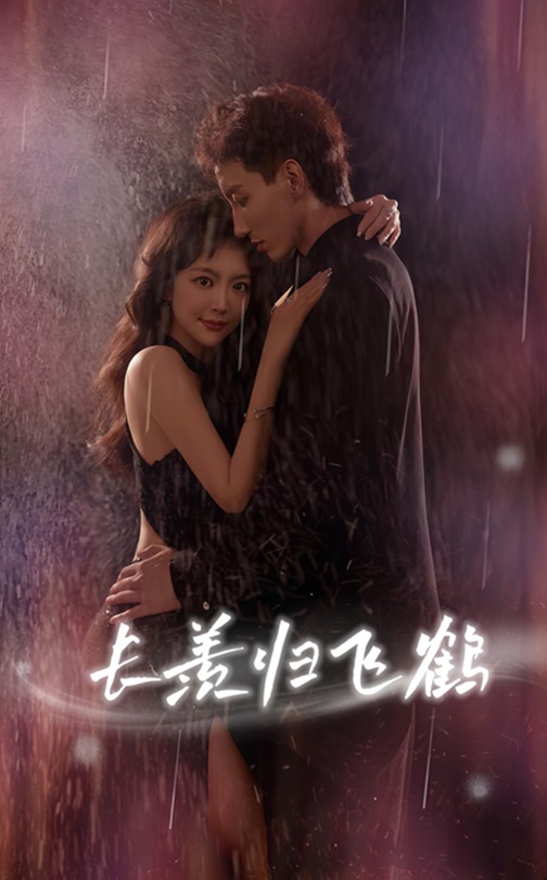 长羡归飞鹤封面图