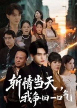 斩情当天，我争回一口气封面图