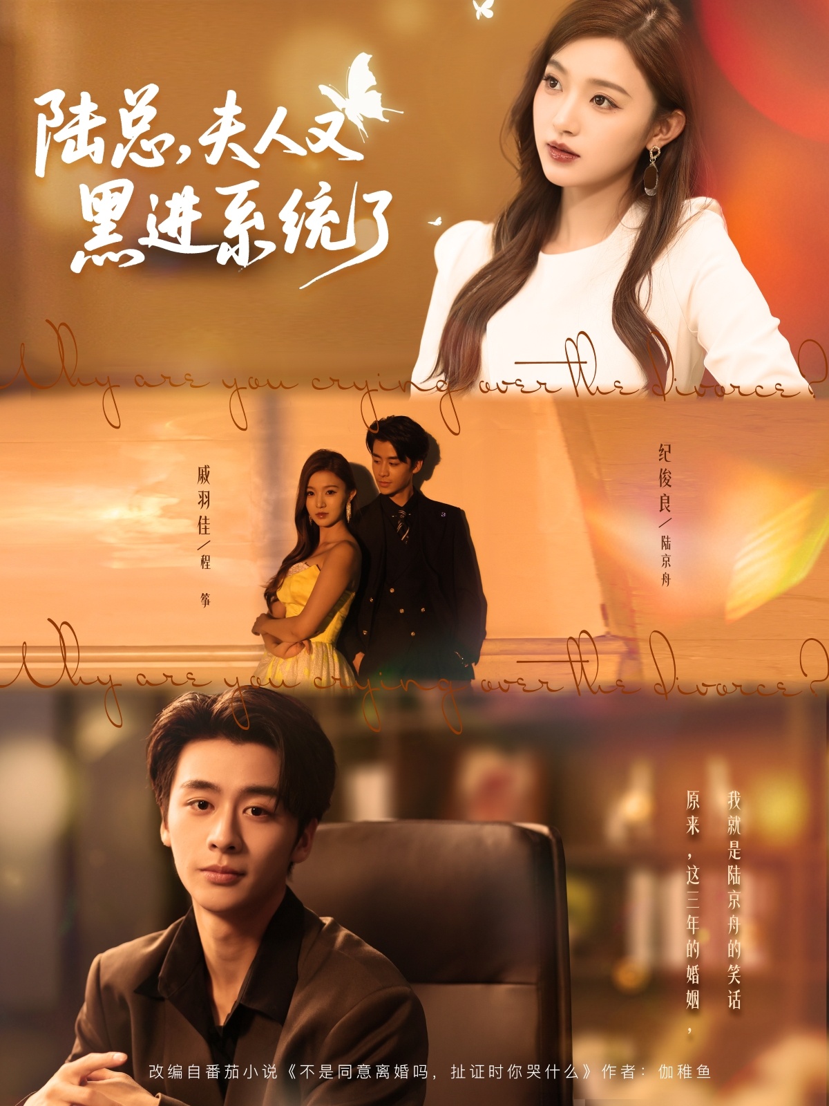 陆总夫人又黑进系统了封面图