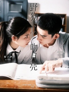 野狗吻月亮封面图