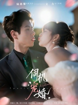 伺机宠婚封面图
