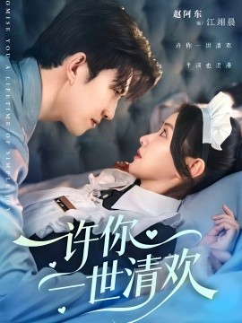 许你一世清欢封面图