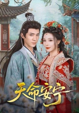 天命安宁封面图