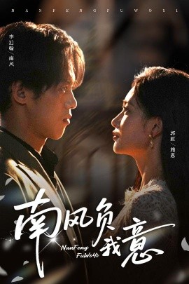 南风负我意封面图