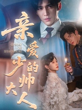 亲爱的少帅大人封面图