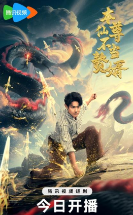 本仙尊不当赘婿封面图