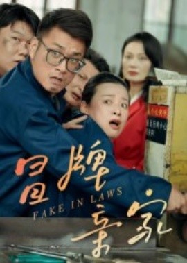 冒牌亲家封面图