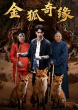 金狐奇缘封面图