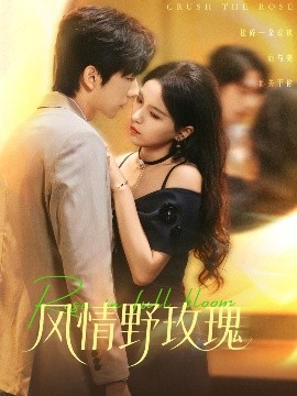 风情野玫瑰 揉碎玫瑰封面图