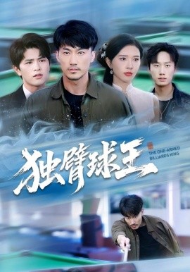 独臂球王 不服输的球王封面图