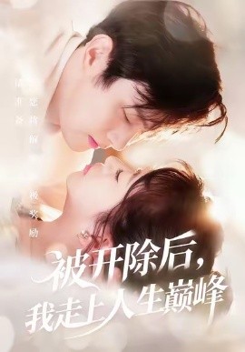 被开除后，我走上人生巅峰封面图