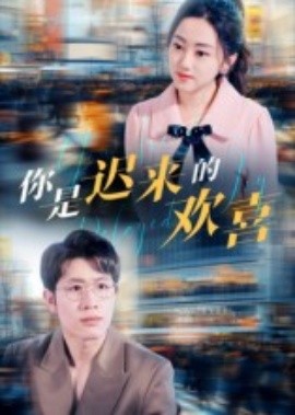你是迟来的欢喜封面图