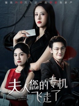 夫人您的专机飞走了封面图