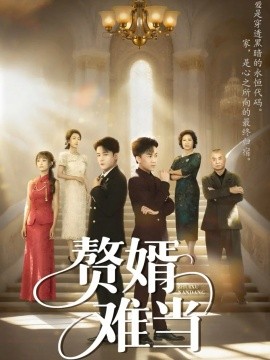 婿业难成 赘婿难当封面图