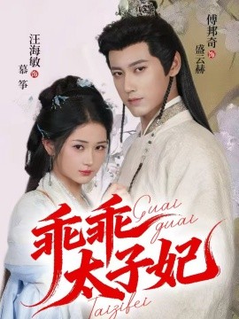 乖乖太子妃封面图