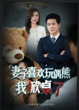 妻子喜欢玩偶熊，我掀桌了封面图